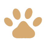 Reserva Panamby apartamentos de 2 e 3 dormitórios com suíte, varanda churrasqueira e vaga